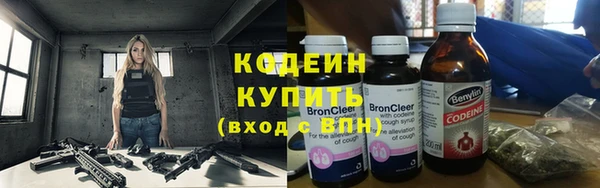 мдпв Инта