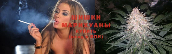 мдпв Инта