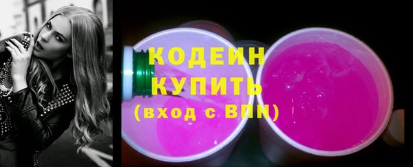 мдпв Инта