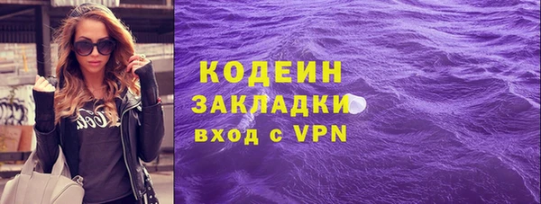 мдпв Инта