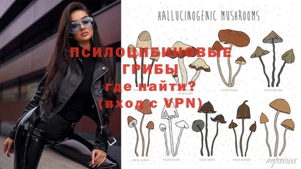 мдпв Инта