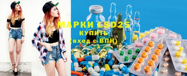 мдпв Инта