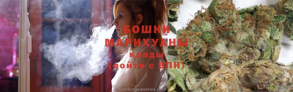 мдпв Инта