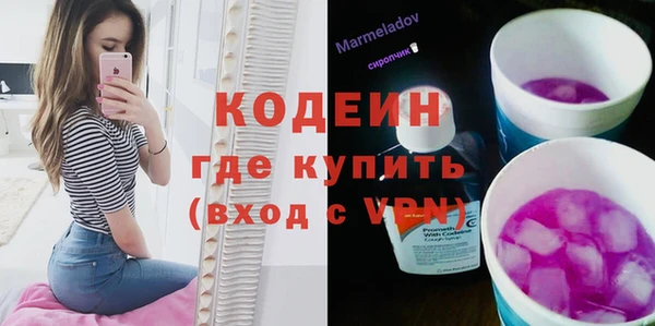 мдпв Инта